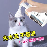 宠物干洗泡沫猫咪狗狗免水洗宠物沐浴露幼猫犬通用抑菌除臭干洗粉 1瓶装[無贈品] [寵物免洗泡泡]