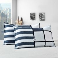 枕头枕头芯一对送枕套一对家用成人枕芯学生枕头套装护颈椎40X70 丝丝入扣 单独枕头[2只][不含枕套]