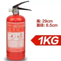 灭火器干粉手提式0.5kg1kg2kg车载家用消防年检汽车用灭火器 1kG灭火器