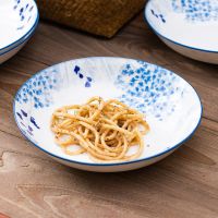 [特价清仓]微波炉烤盘套装陶瓷餐具家用碗盘碟组合果盘 [浪漫樱花]7英寸圆盘