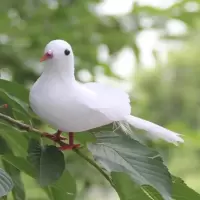 展翅白鸽 仿真大鸽子小白鸽摆件 羽毛小鸟捆绑式园林装饰婚庆装扮 20厘米鸽子1只