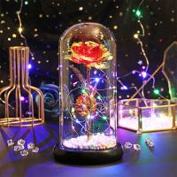 三八妇女节送女朋友生日礼物女闺蜜小众姐妹创意有意义实用小夜灯 热情彩红玫瑰送电池代写贺卡+精美包装