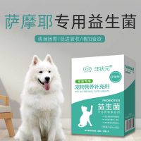 萨摩耶益生菌粉调理肠胃专用宠物狗狗吃的幼犬成犬拉稀营养补充剂 萨摩耶专用(单盒装)