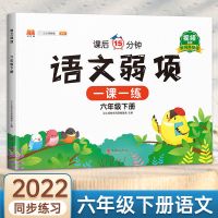 2022小学语文数学英语弱项一二三四五六年级上下册同步作文易错题 六年级下册 英语(人教PEP版)弱项