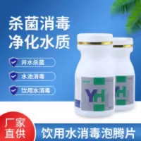 家用饮用水消毒片二氧化氯井水野外用水消毒净化杀菌剂祛味净水剂 100g
