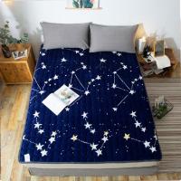 法兰绒冬季加厚床单垫被榻榻米单双人床打地铺睡垫学生宿舍床垫子 [流星夜空] 宽60cm*长120cm[儿童床]