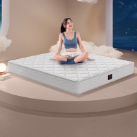 [CBD]SN-半岛床垫 透气抑菌高回弹海绵整网弹簧护脊床垫 厚度22cm
