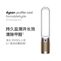 戴森(DYSON) 除菌除甲醛空气净化风扇TP09白金色整屋循环净化兼具空气净化器功能落地风扇[国行正品]