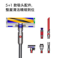 [2024款]戴森(DYSON)V12 Detect Slim Fluffy轻量高端吸尘器光学探测微尘