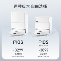 石头(roborock)扫地机器人 P10S 水箱版 扫拖洗烘一体机 自动集尘热水洗拖布烘干补水擦地拖地 手动换水款