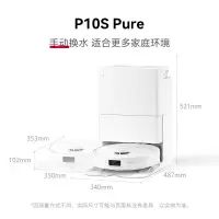 (送耗材)石头P10S Pure 水箱版 扫地机器人扫拖地清洗一体 手动换水款