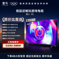 FFALCON雷鸟 43英寸鹏6SE 4K超薄全面屏 远场语音 2+32G MEMC防抖 智慧屏 智能液晶43S365C