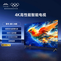 FFALCON雷鸟二级能效雀5 24款 节能版 55英寸电视 4K超高清 2+32GB 智能平板电视机55F285C-J