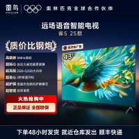 雷鸟 43雀5 25款 43英寸电视 4K高清远场语音 2+32GB大内存低蓝光护眼电视 43F295C