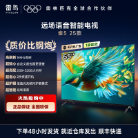 雷鸟 65雀5 25款 65英寸电视 4K高清远场语音 2+32GB大内存低蓝光护眼智能液晶网络电视 65F295C