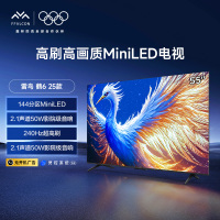 雷鸟一级能效 鹤6 25款 55英寸 4+64GB 4K超高清智能游戏电视 55S595C-A