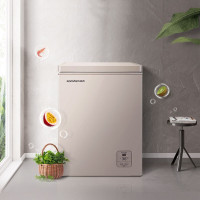 容声100MSYA   100升冰柜小型家用冷冻冷藏迷你冷柜一级能效节能卧式电脑智能精控BD/BC-