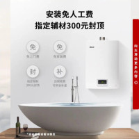 林内16升 JSQ31-D03经典恒温 防冻 燃气热水器 RUS-16QD03 (天然气)