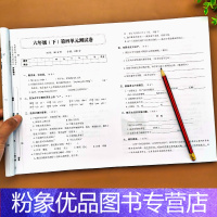 [粉象优品]2021新版六年级语文测试卷下册试卷测试卷全套同步练习期末冲刺100分小学6年级人教版人教同步练习册练习题