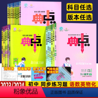 3本]语文+数学+英语(人教版) 八年级上 [正版]2024版初中典中点七八九年级下册语文数学英语物理化学上册人教北师华