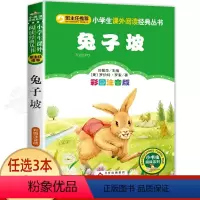 兔子坡 [正版]老师小马过河注音版故事书绘本一年级二年级三年级必读小学生书籍老师书目