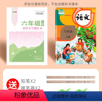 六年级上册生字(语文同步临摹本) [正版]一年级二年级三小学生练字帖四五六字帖上册下册语文生字同步人教版描红每日一练儿童