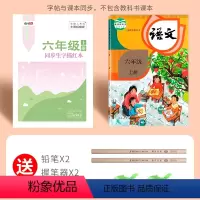 六年级上册生字(语文同步临摹本) [正版]一年级二年级三小学生练字帖四五六字帖上册下册语文生字同步人教版描红每日一练儿童