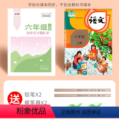 六年级上册生字(语文同步临摹本) [正版]一年级二年级三小学生练字帖四五六字帖上册下册语文生字同步人教版描红每日一练儿童