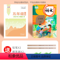 五年级上册生字(语文同步临摹本) [正版]一年级二年级三小学生练字帖四五六字帖上册下册语文生字同步人教版描红每日一练儿童