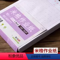 米字格硬笔书法纸10本 [正版]控笔训练字帖成年凹槽楷书全套初学者正楷练习写字大学生成年男女生字体漂亮硬笔练字本成人练字