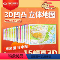 [正版]3D地图系列中国地形图 基础地图立体版 15张中学地理图 政区交通城市灯光气候水系高铁降水量专题图