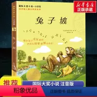 兔子坡注音版 [正版]兔子坡注音版二年级/ 大奖小说 6-7-8-9-10-12岁一二三四年级小学生课外阅读物图书 儿童