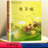 兔子坡注音版 [正版]兔子坡注音版二年级 6-7-8-9-10-12岁一二三四年级小学生课外阅读物图书儿童文学小说故事