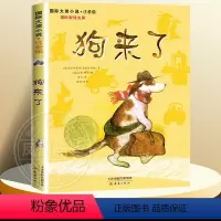 狗来了注音版 [正版]兔子坡注音版二年级 6-7-8-9-10-12岁一二三四年级小学生课外阅读物图书儿童文学小说故事