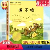兔子坡 [正版]国际大奖小说苹果树上的外婆注音版米拉洛贝著一二三四年级小学生课外阅读故事书6-12周岁儿童卡通故事少儿寒