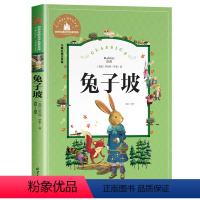 兔子坡 [正版]海底两万里彩图注音版小学版书原著经典名著儿童文学故事书三二一年级必读课外书阅读书籍海底2万里绘本带拼音读