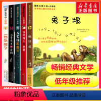 [正版]国际大奖小说注音版全套5册 苹果树上的外婆兔子坡一百条裙子国际大奖儿童文学小学生带拼音的课外书小学生一二三年级课