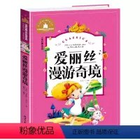 爱丽丝漫游奇境记 [正版]兔子坡注音版三年级书籍一年级二年级阅读课外书必读经典书目小学生1-2-3年级带拼音书籍老师推