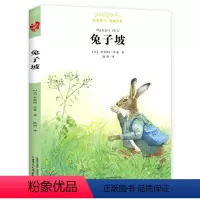 兔子坡 [正版]柳林风声杨静远亲近母语经典童书阅读指导版课外阅读书籍小学生