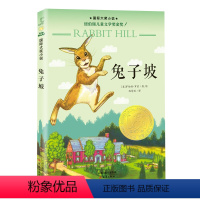 兔子坡(注音版) [正版]一百条裙子(注音版) 国 际大奖小说 青少年儿童成长励志文学小说 6-8-10-16岁中小学