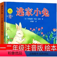 逃家小兔 [正版]兔子坡注音版二年级三年级一年级书籍小学生必读课外书新蕾出版社罗伯特罗素的故事绘本一二世界儿童文学名著国
