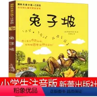 兔子坡 注音版 [正版]兔子坡注音版二年级三年级一年级书籍小学生必读课外书新蕾出版社罗伯特罗素的故事绘本一二世界儿童文学