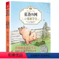 夏洛的网 小猪威尔伯 [正版]夏洛的网注音版小学生儿童故事EB怀特三部曲全套上海译文出版社三四年级课外书籍阅读阅读图书夏