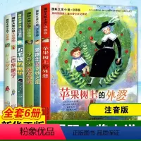[注音版]国际大奖小说全套6册 [正版]全套20册 亲爱的汉修先生苹果树上的外婆一百条裙子兔子披注音版二三四五年级小学生