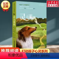 灵犬莱西 [正版]绿野仙踪 书 /能打动孩子心灵的世界经典童话 三四五六年级小学生课外阅读中国少年儿童出版社 儿童读物