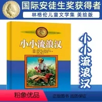 小小流浪汉 [正版]长袜子皮皮的故事非注音版中国少年儿童出版社小学生二三四年级课外书 阅读书目儿童文学作品林格伦作品集美