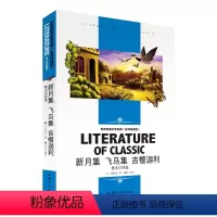 新月集 飞鸟集 吉檀迦利-泰戈尔诗选 [正版][4本24元]城南旧事窃读记 林海音五六年级四年级汕头大学出版社小学生课外