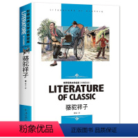 [分册名] 骆驼祥子 [正版][4本24元]三国演义汕头大学出版社白话文经典文学名师精读四大名著故事书8-12岁少儿童书