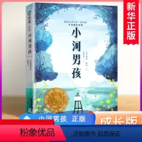 小河男孩 [正版]小河男孩 2022暑假百班千人推 荐大奖小说故事书小学生课外阅读书籍三四五六年级必读新蕾出版社8-10