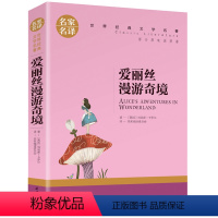 爱丽丝漫游奇境 [正版]5本25元三个火枪手原著 大仲马著 名家名译世界文学名著青少年版 小学初中生课外阅读书籍 809